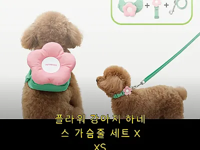 플라워 강아지 하네스 가슴줄 세트 X 관련 이미지